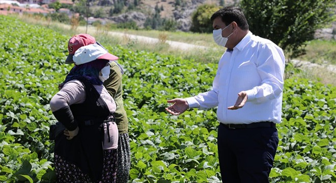 Vali Arslantaş İnsuyu Ovası'nda