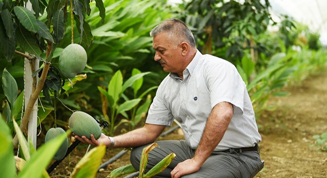 Vali Yazıcı: Antalya güçlü bir tarımsal altyapıya sahip