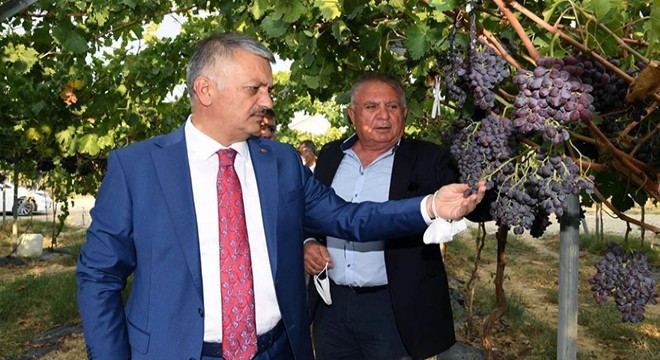 Vali Yazıcı, Korkuteli'de
