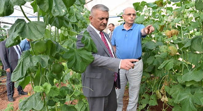 Vali Yazıcı'dan Kumluca ziyareti