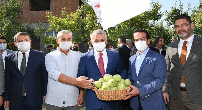 Vali Yazıcı, Karyağdı armudu hasadında