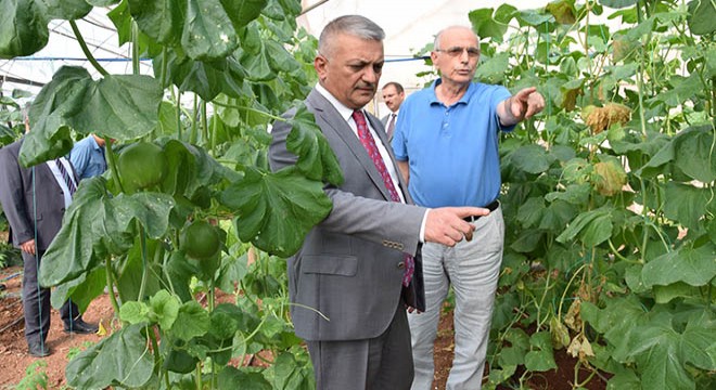 Vali Yazıcı dan Kumluca ziyareti