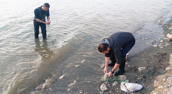 Van Gölü'nde 100 metre uzatma ağı ve 10 kilo inci kefali bulundu