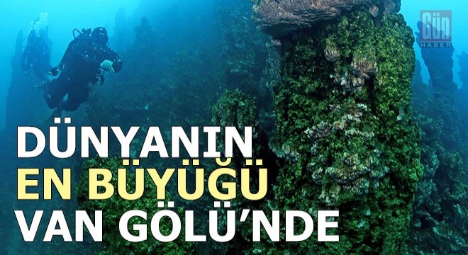 Van Gölü'nde heyecanlandıran keşif