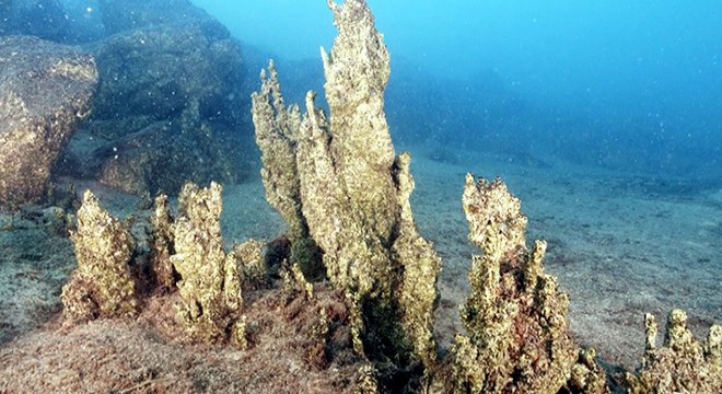 Van Gölü'ne 4 günlük 'keşif' dalışı
