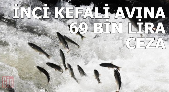 Van'da 3 ton 300 kilo inci kefali avına 69 bin lira ceza