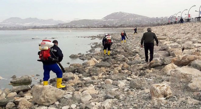 Van'da sineklerle mücadele başladı