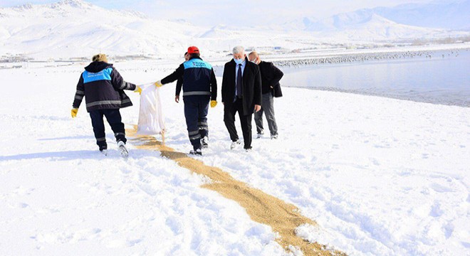Van'da yaban hayvanları için doğaya yem bırakıldı