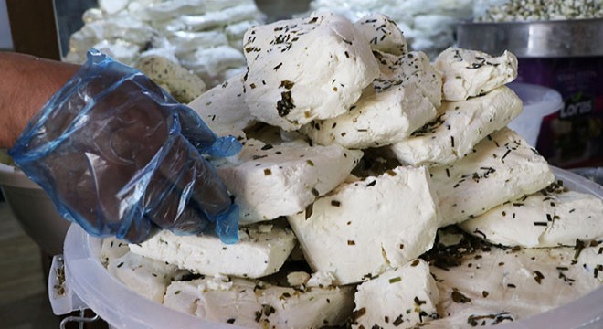 Van otlu peynirinin Avrupa'ya pazarlanması için çalışma başlatıldı