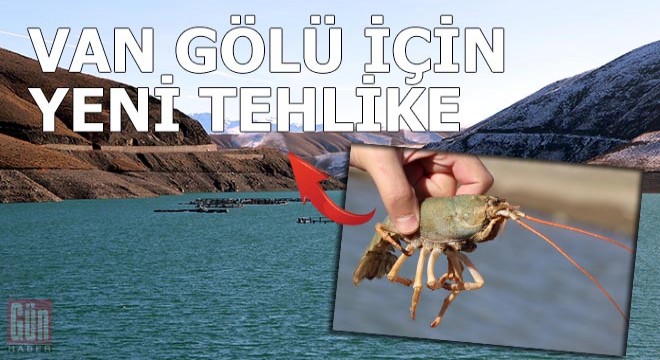 Van Gölü için yeni tehlike