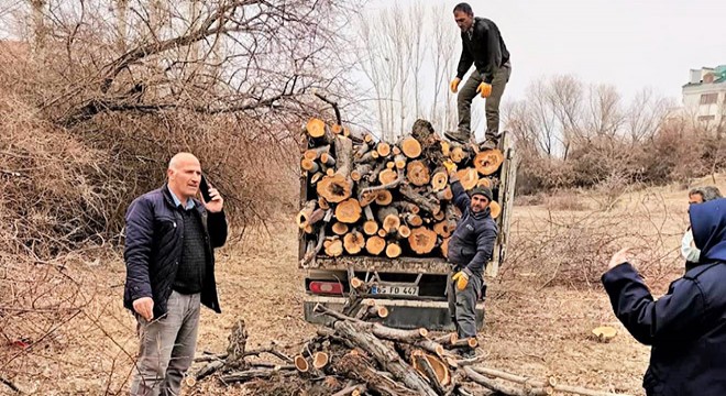 Van da, izinsiz ağaç kesimine 9 bin 85 lira ceza