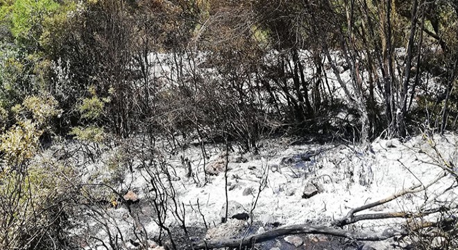 Vatandaşlar yangını büyümeden söndürdü