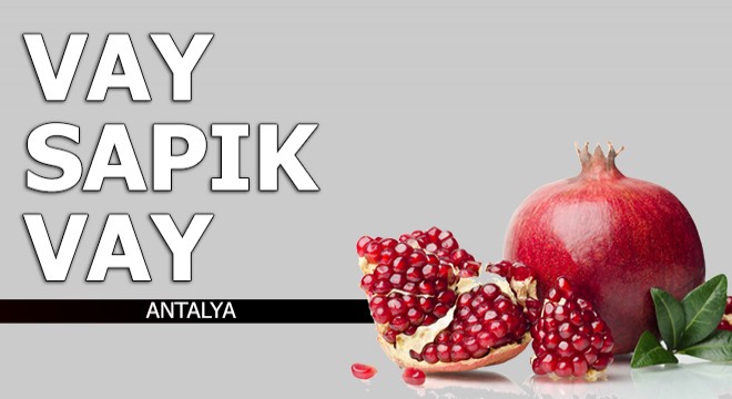 Vay sapık vay