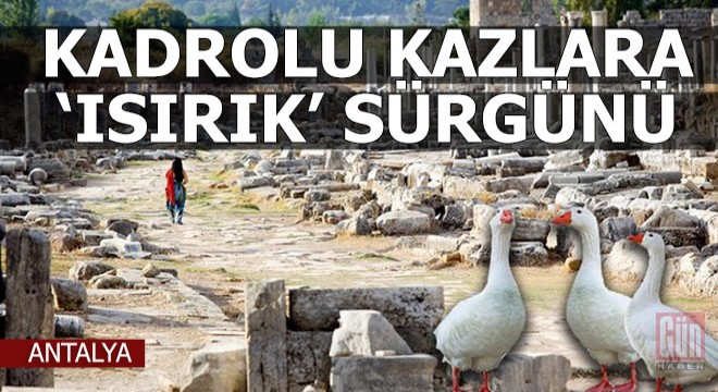 Vay sen misin çocuğu ısıran...