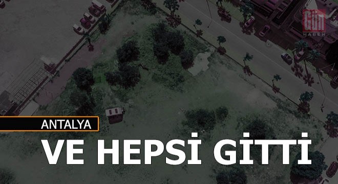 Ve bir günde hepsi gitti