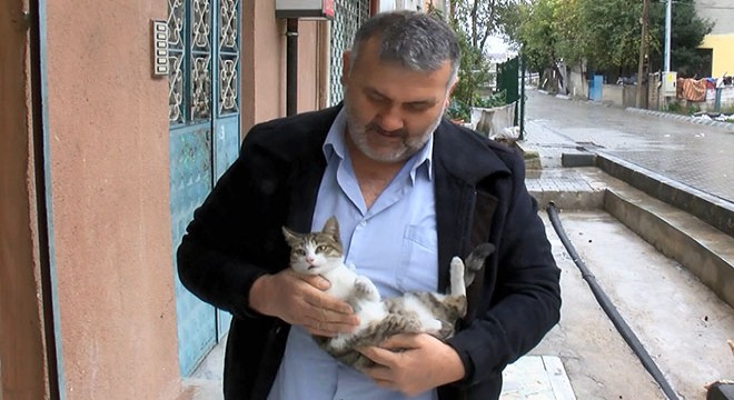 Vicdansız sürücü yavru kediyi ezip kaçtı
