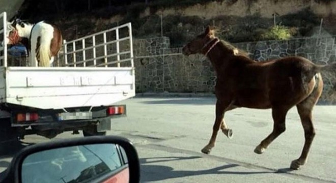 Vicdansızlar! Sosyal medyada tepki yağdı