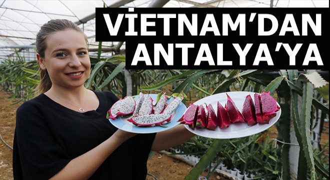 Vietnam'dan Antalya'ya...