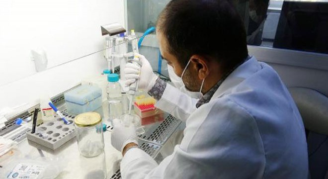 Vücut savunma sistemini enfeksiyonlara karşı koruyan vitamin geliştirildi