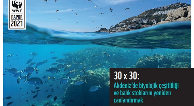 WWF: 2030'a kadar Akdeniz'in en az üçte biri korunmalı