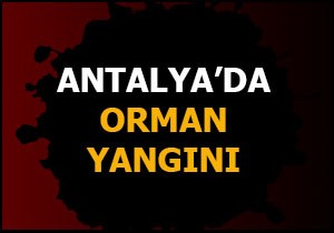 ANTALYA DA ORMAN YANGINI