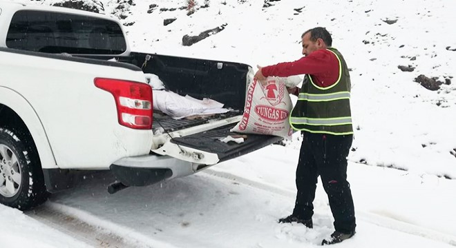 Yaban hayvanları için doğaya 2 ton yem bırakıldı