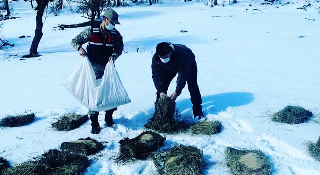 Yaban hayvanları için doğaya yem bırakıldı