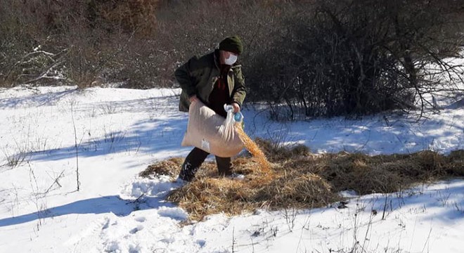 Yaban hayvanları için doğaya 1 ton 100 kilo yem bırakıldı