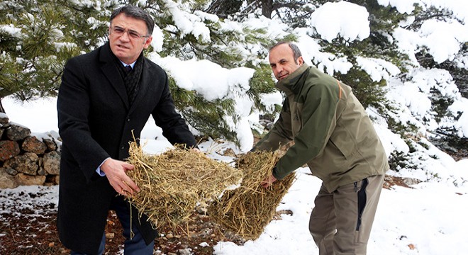 Yaban hayvanları için doğaya 5 ton yem bırakıldı