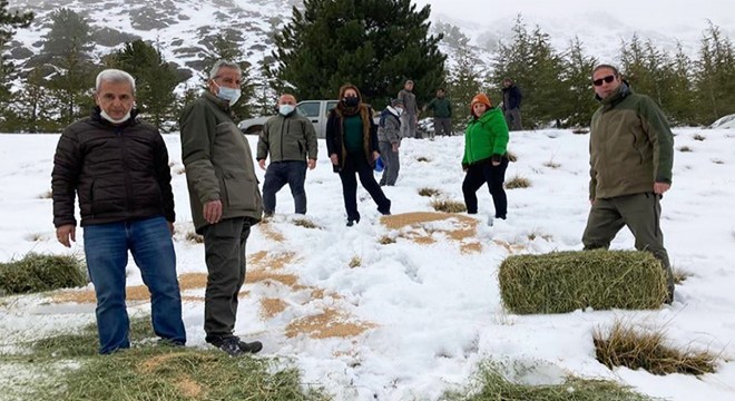 Yaban hayvanlarına yemleme yapıldı