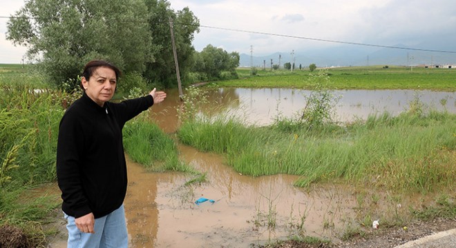 Yağış tarım arazilerine zarar verdi