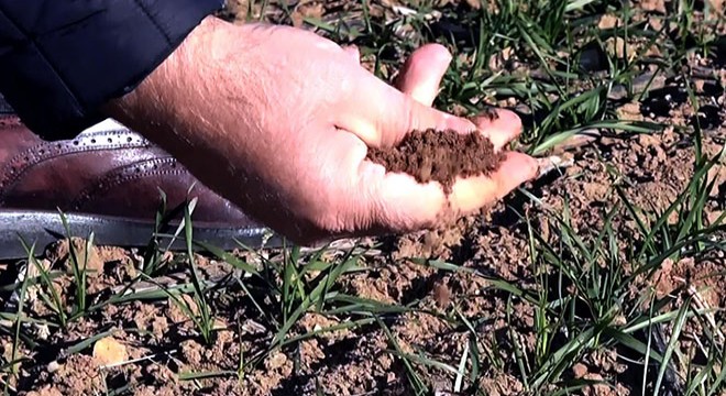 Yağışların azaldığı Trakya da, çiftçilerin kuraklık endişesi