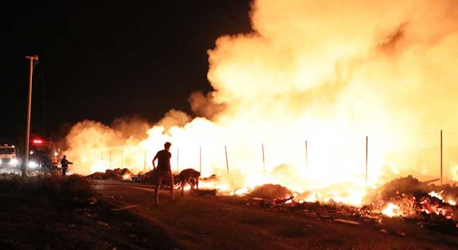 Yalova'da çöplük yangını
