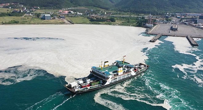 Yalova da deniz yeniden müsilajla kaplandı