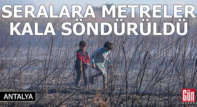 Yamansaz daki yangın, seralara metreler kala söndürüldü