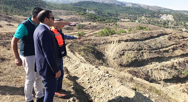 Yanan ormanlık alana 35 bin fidan dikilecek