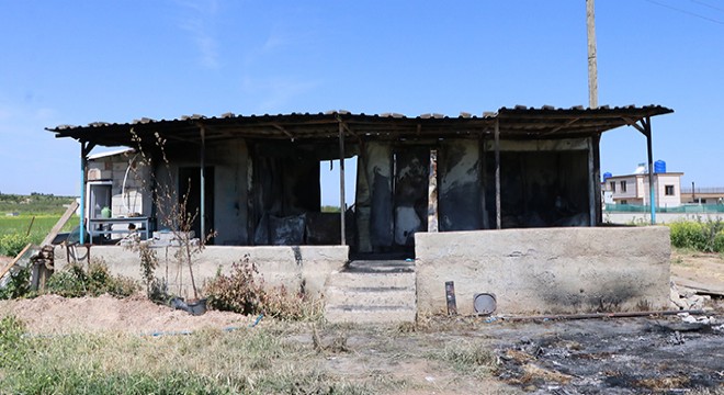 Yanan konteynerde cesedi bulunmuştu; öldürüldüğü ortaya çıktı