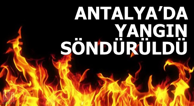 Yangın ormana sıçramadan söndürüldü