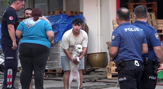 Yangın çıkan evdeki 2 köpeği itfaiye kurtardı