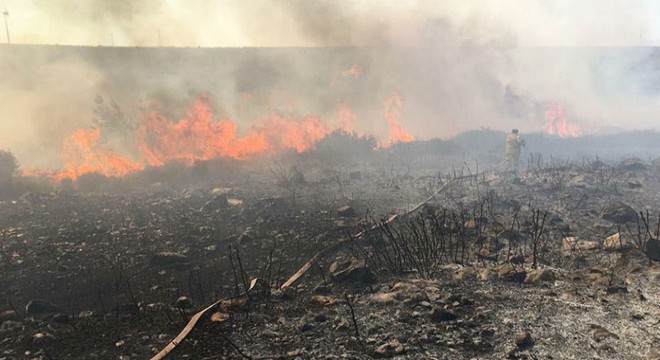 Yangın, yazlık evlere 100 metre kala söndürüldü