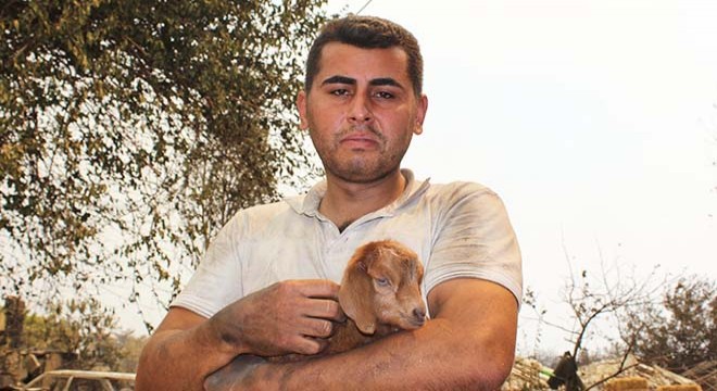 Yangında doğan oğlağa 'mucize' adı verildi
