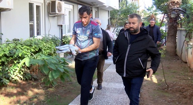 Yangında dumandan etkilenen kedi kurtarılamadı