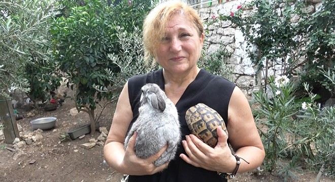 Yangından kurtarılan hayvanlarına kavuştu