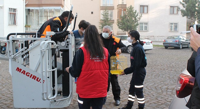 Yangından kurtarılırken muhabbet kuşunu unutmadı