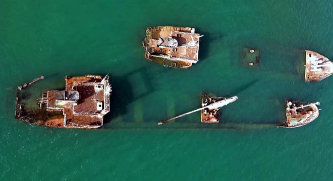 Gemi batıkları, balıklara ve deniz kuşlarına yuva oluyor