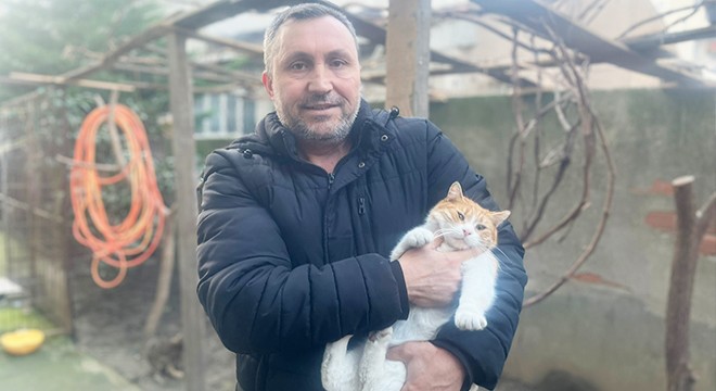 Yaralı kediye yardım edene silah doğrulttu, tutuklandı