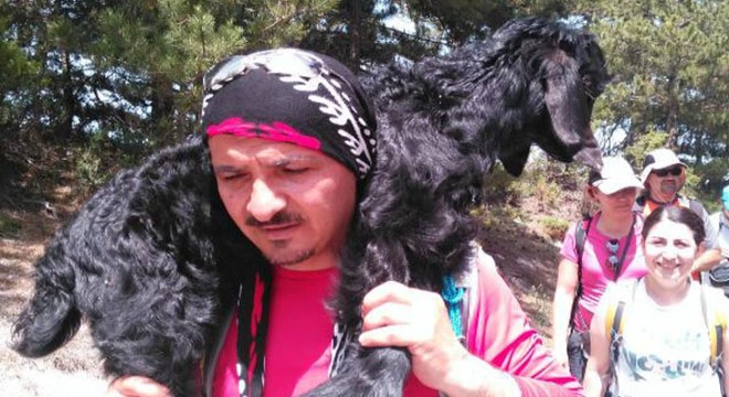 Yaralı oğlağı kurtarıp böyle taşıdılar