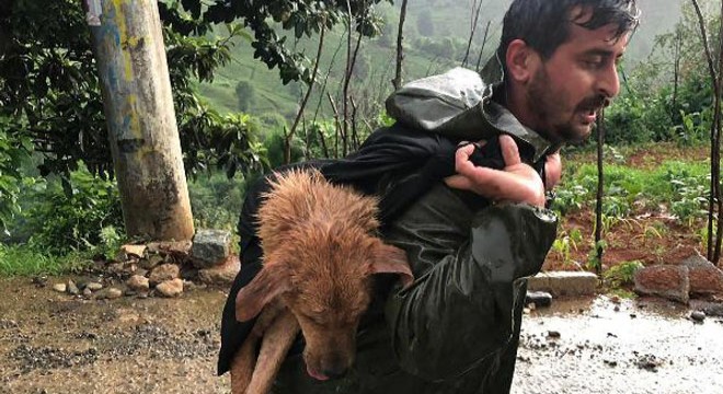 Yaralı köpeği sırtında taşıdı