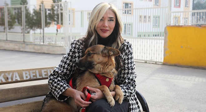 Yaralı köpek, fizik tedaviyle sağlığına kavuştu