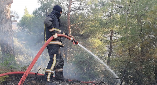 Yarım saat arayla 2 orman yangını